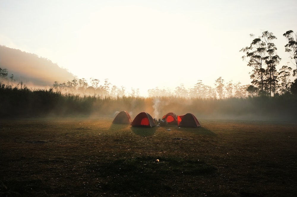 Forest exploration trips - Holiday packages India