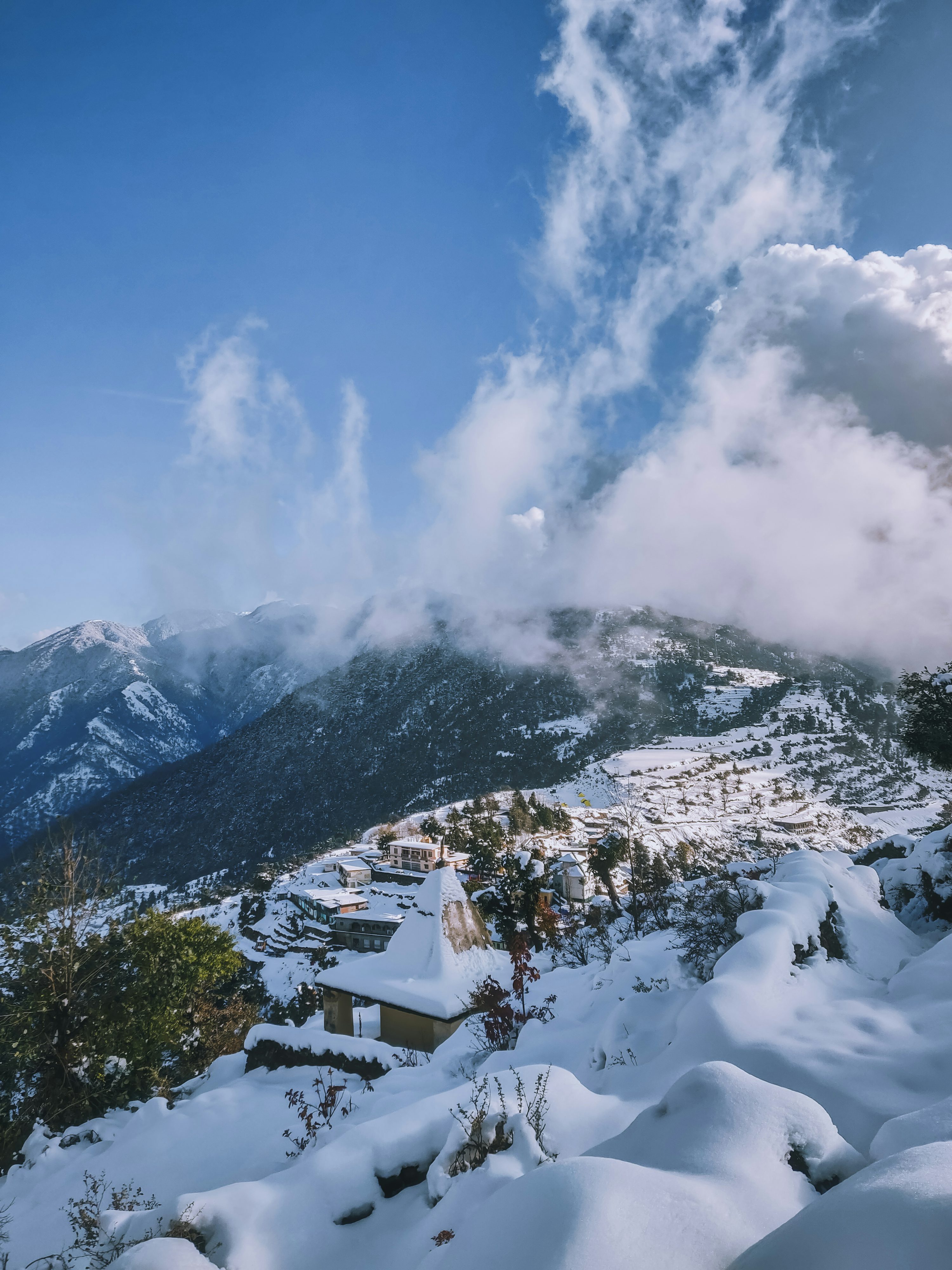 Kashmir